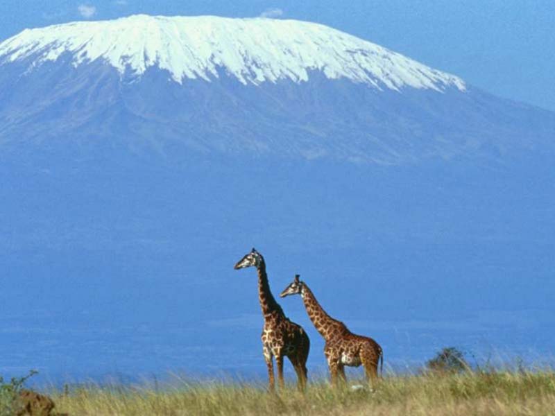 Mount Kilimanjaro trekking in Tanzania