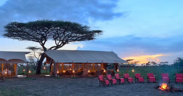 Kenya safari tours - Kenya lodge safaris