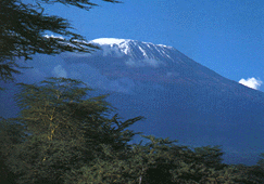 Mt. Kilimanjaro